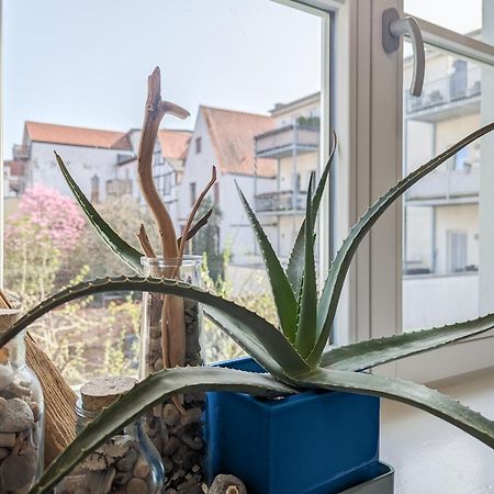 Strelapartment By Meinke Mitten In Der Altstadt ชตราลซุนด์ ภายนอก รูปภาพ