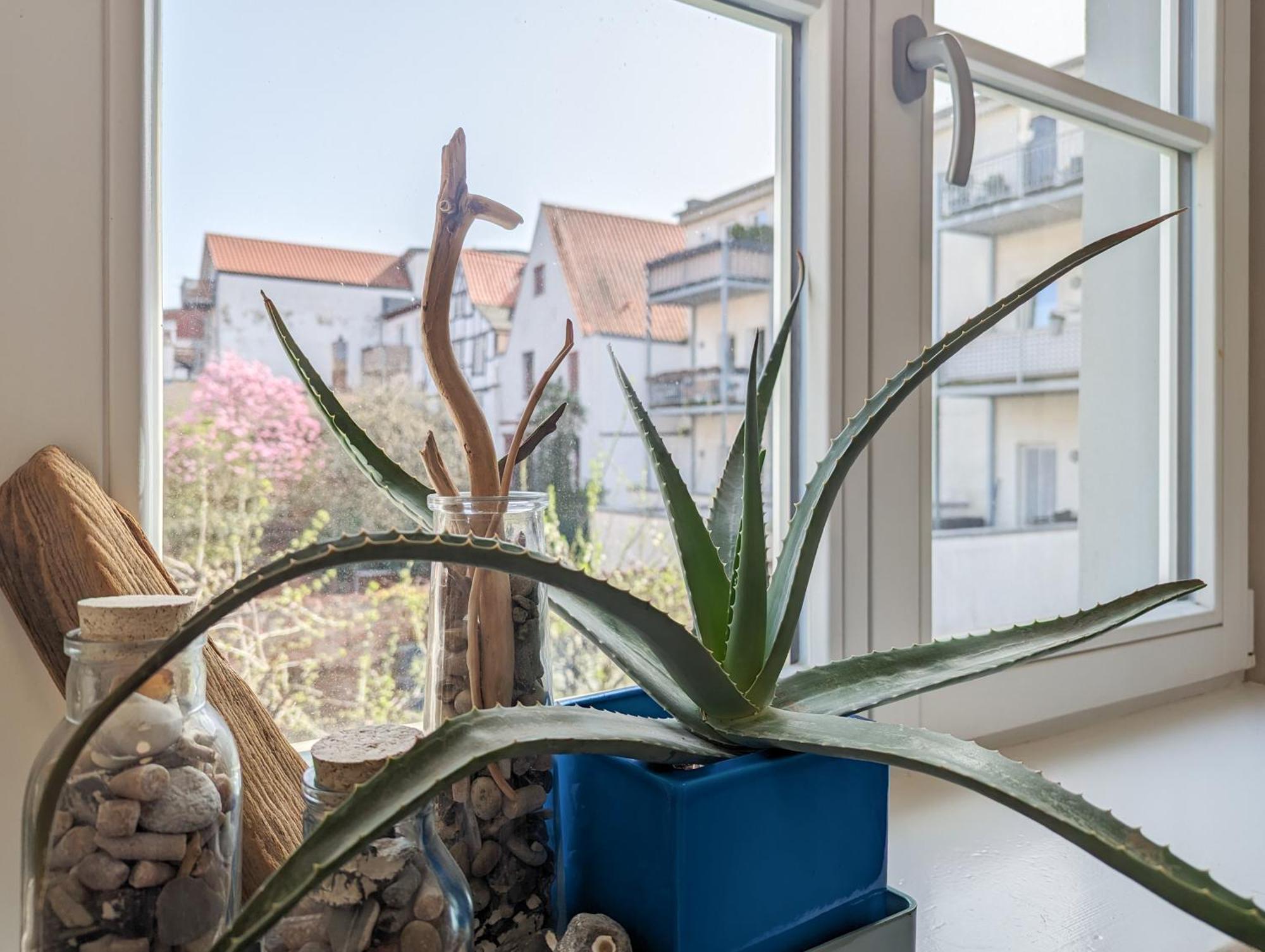 Strelapartment By Meinke Mitten In Der Altstadt ชตราลซุนด์ ภายนอก รูปภาพ